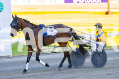 2025_PACEPIX_GP07112025_Race1_NutbushGirl_WIN_WEB-24