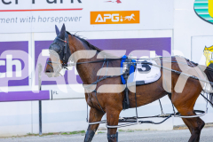 2025_PACEPIX_GP07112025_Race1_NutbushGirl_WIN_WEB-25