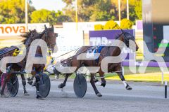 2025_PACEPIX_GP07112025_Race1_NutbushGirl_WIN_WEB-3