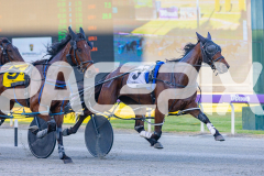 2025_PACEPIX_GP07112025_Race1_NutbushGirl_WIN_WEB-4