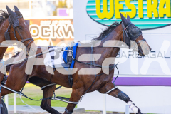 2025_PACEPIX_GP07112025_Race1_NutbushGirl_WIN_WEB-5