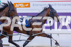 2025_PACEPIX_GP07112025_Race1_NutbushGirl_WIN_WEB-6