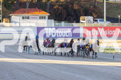 2025_PACEPIX_GP07112025_Race1_NutbushGirl_WIN_WEB-7