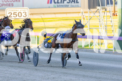 2025_PACEPIX_GP07112025_Race1_NutbushGirl_WIN_WEB-8