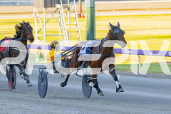 2025_PACEPIX_GP07112025_Race1_NutbushGirl_WIN_WEB-9