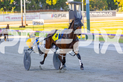 2025_PACEPIX_GP21112025_RACE1_NutbushGIrl_WIN_WEB-1