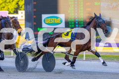 2025_PACEPIX_GP21112025_RACE1_NutbushGIrl_WIN_WEB-10