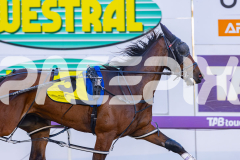 2025_PACEPIX_GP21112025_RACE1_NutbushGIrl_WIN_WEB-11