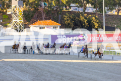 2025_PACEPIX_GP21112025_RACE1_NutbushGIrl_WIN_WEB-12