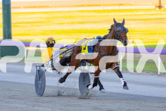 2025_PACEPIX_GP21112025_RACE1_NutbushGIrl_WIN_WEB-13
