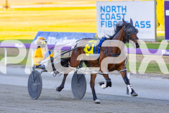 2025_PACEPIX_GP21112025_RACE1_NutbushGIrl_WIN_WEB-14