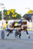 2025_PACEPIX_GP21112025_RACE1_NutbushGIrl_WIN_WEB-19