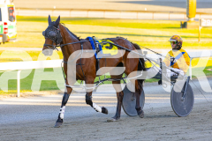 2025_PACEPIX_GP21112025_RACE1_NutbushGIrl_WIN_WEB-20