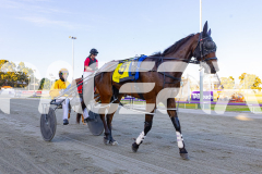 2025_PACEPIX_GP21112025_RACE1_NutbushGIrl_WIN_WEB-22