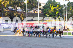 2025_PACEPIX_GP21112025_RACE1_NutbushGIrl_WIN_WEB-4