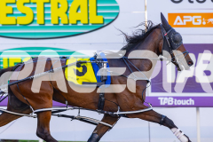 2025_PACEPIX_GP21112025_RACE1_NutbushGIrl_WIN_WEB-7