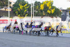 2025_PACEPIX_GP21112025_RACE1_NutbushGIrl_WIN_WEB-8