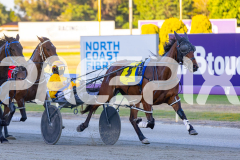 2025_PACEPIX_GP21112025_RACE1_NutbushGIrl_WIN_WEB-9