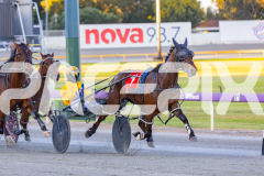 RACE 1 - Nutbush Girl