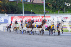 2025_Pacepix_GP30092025_Race1_NutbushGirl_WIN_WEB-1