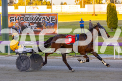 2025_Pacepix_GP30092025_Race1_NutbushGirl_WIN_WEB-13