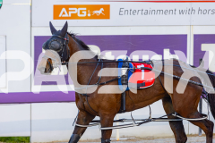 2025_Pacepix_GP30092025_Race1_NutbushGirl_WIN_WEB-18