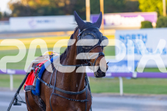2025_Pacepix_GP30092025_Race1_NutbushGirl_WIN_WEB-20