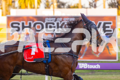 2025_Pacepix_GP30092025_Race1_NutbushGirl_WIN_WEB-7