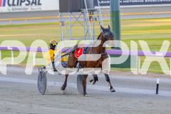 2025_Pacepix_GP30092025_Race1_NutbushGirl_WIN_WEB-9