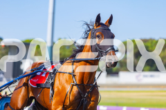 Gloucester Park - 16/12/2025