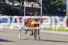 2025_PACEPIX_GP16122025_RACE1_OhMiki_WIN_WEB-1