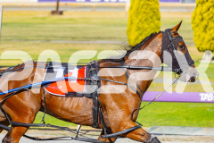 2025_PACEPIX_GP16122025_RACE1_OhMiki_WIN_WEB-15