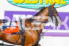 2025_PACEPIX_GP16122025_RACE1_OhMiki_WIN_WEB-16