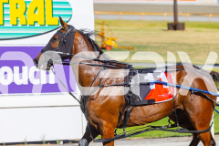 2025_PACEPIX_GP16122025_RACE1_OhMiki_WIN_WEB-18