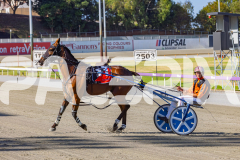 2025_PACEPIX_GP16122025_RACE1_OhMiki_WIN_WEB-19