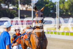 2025_PACEPIX_GP16122025_RACE1_OhMiki_WIN_WEB-20