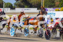 2025_PACEPIX_GP16122025_RACE1_OhMiki_WIN_WEB-3