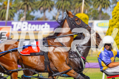 2025_PACEPIX_GP16122025_RACE1_OhMiki_WIN_WEB-4