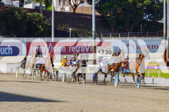 2025_PACEPIX_GP16122025_RACE1_OhMiki_WIN_WEB-5