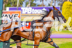 2025_PACEPIX_GP16122025_RACE1_OhMiki_WIN_WEB-8