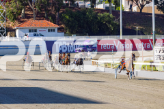 2025_PACEPIX_GP16122025_RACE1_OhMiki_WIN_WEB-9