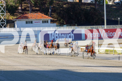 2025_PACEPIX_GP11112025_RACE1_Patriarch_WIN_WEB-1