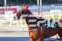 2025_PACEPIX_GP11112025_RACE1_Patriarch_WIN_WEB-10