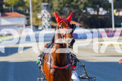 2025_PACEPIX_GP11112025_RACE1_Patriarch_WIN_WEB-14