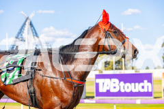 2025_PACEPIX_GP11112025_RACE1_Patriarch_WIN_WEB-17