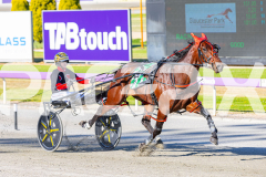 2025_PACEPIX_GP11112025_RACE1_Patriarch_WIN_WEB-4