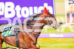 2025_PACEPIX_GP11112025_RACE1_Patriarch_WIN_WEB-8