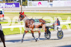 2025_PACEPIX_GP11112025_RACE1_Patriarch_WIN_WEB-9