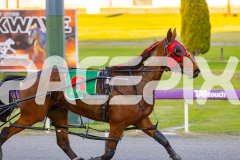 2025_PACEPIX_GP16092025_Race1_Philthejug_WIN_WEB-13