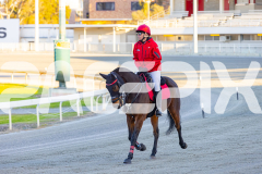 2025_PACEPIX_GP16092025_Race1_Philthejug_WIN_WEB-14